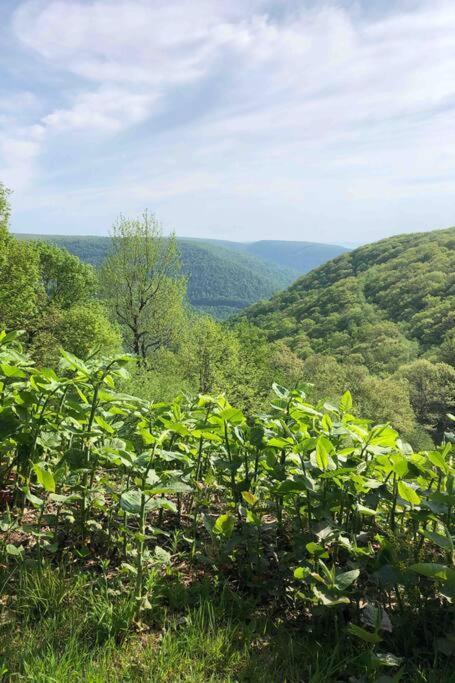 2 Bedroom 2 Bathroom - Blue Knob All Season Resort Condo Claysburg Exterior foto